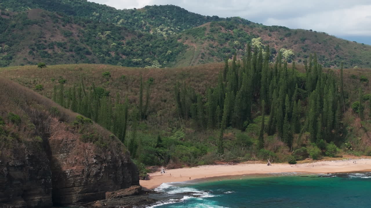 Drone footage of Turtle Bay near Gouaro, New Caledonia, highlighting turquoise waves, sandy beach and tall evergreen pines along the tropical shoreline