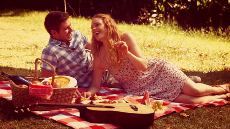 una pareja feliz durante un picnic.