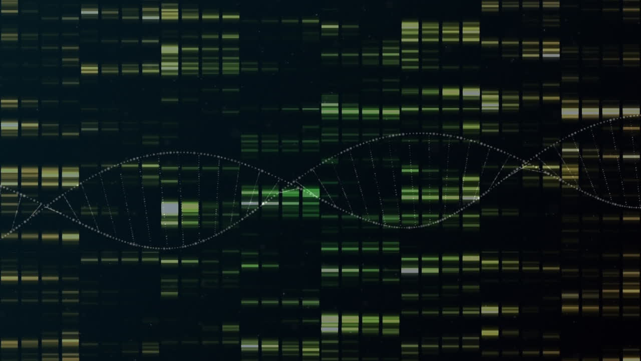 Animation of green lights on black background