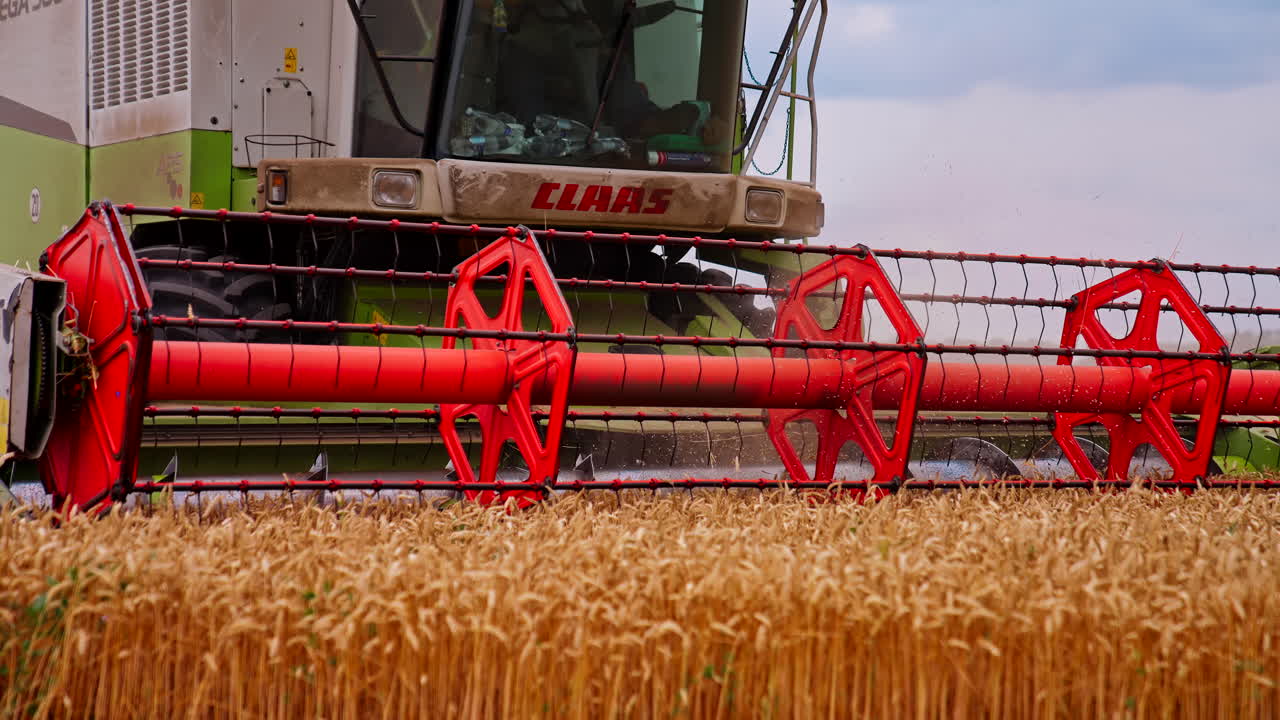 Industrial footage of agricultural theme. Combine riding through rural cutting yellow stalks of wheat