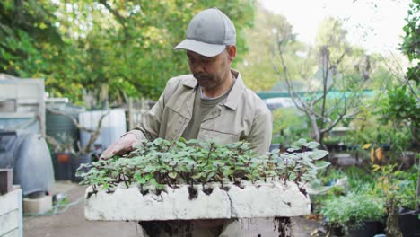 African-american-male-gardener-holding-seedlings,-looking-at-camera-and-smiling-at-garden-center