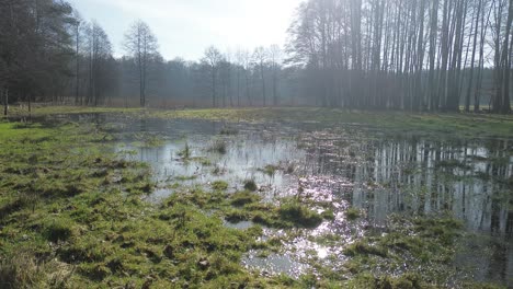 overflow meadow sunny day water reflection aerial dolly forward