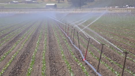 los rociadores riegan los campos agrícolas con agua en california durante una época de sequía y sequía 1