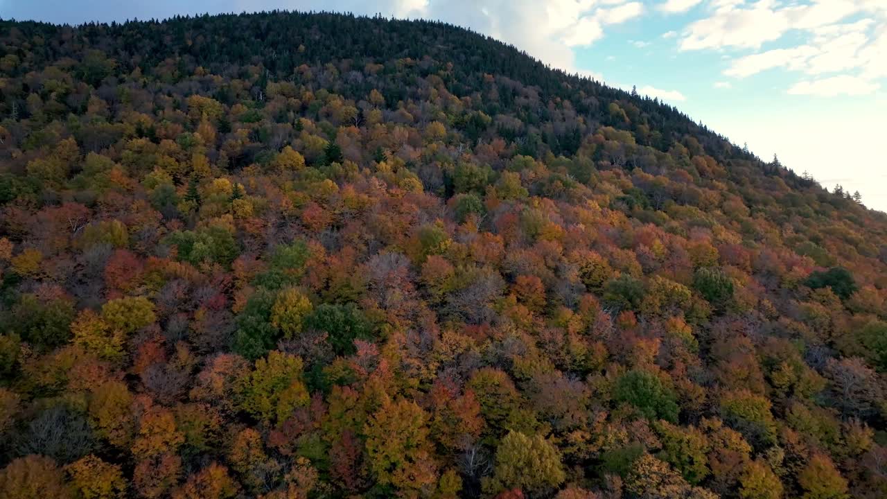 aerail over fall leaves in new england near stowe vermont