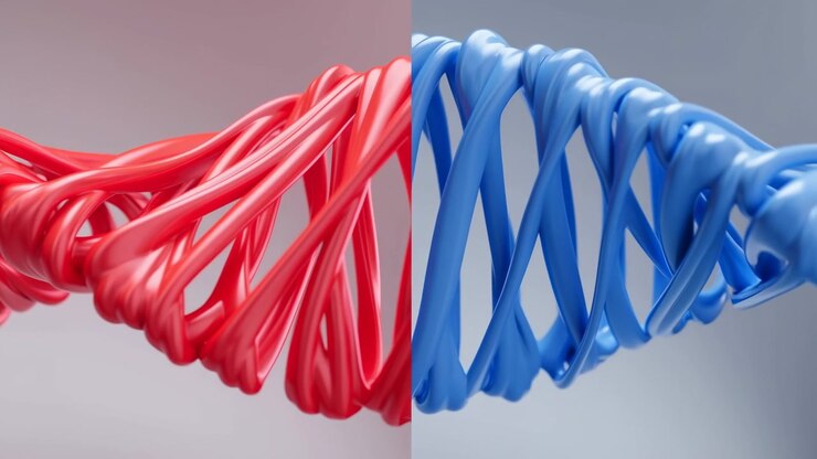Interlaced red and blue loops shift and undulate from side to side, tightening and opening around the center as soft lighting highlights rounded surfaces against a clean two-tone backdrop.