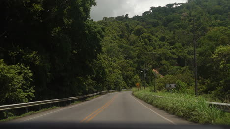 driving along a rural road through a tropical rainforest - slow motion