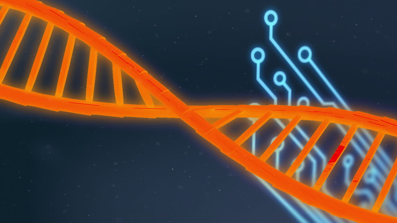 Animation of dna stand over data processing and circuit board