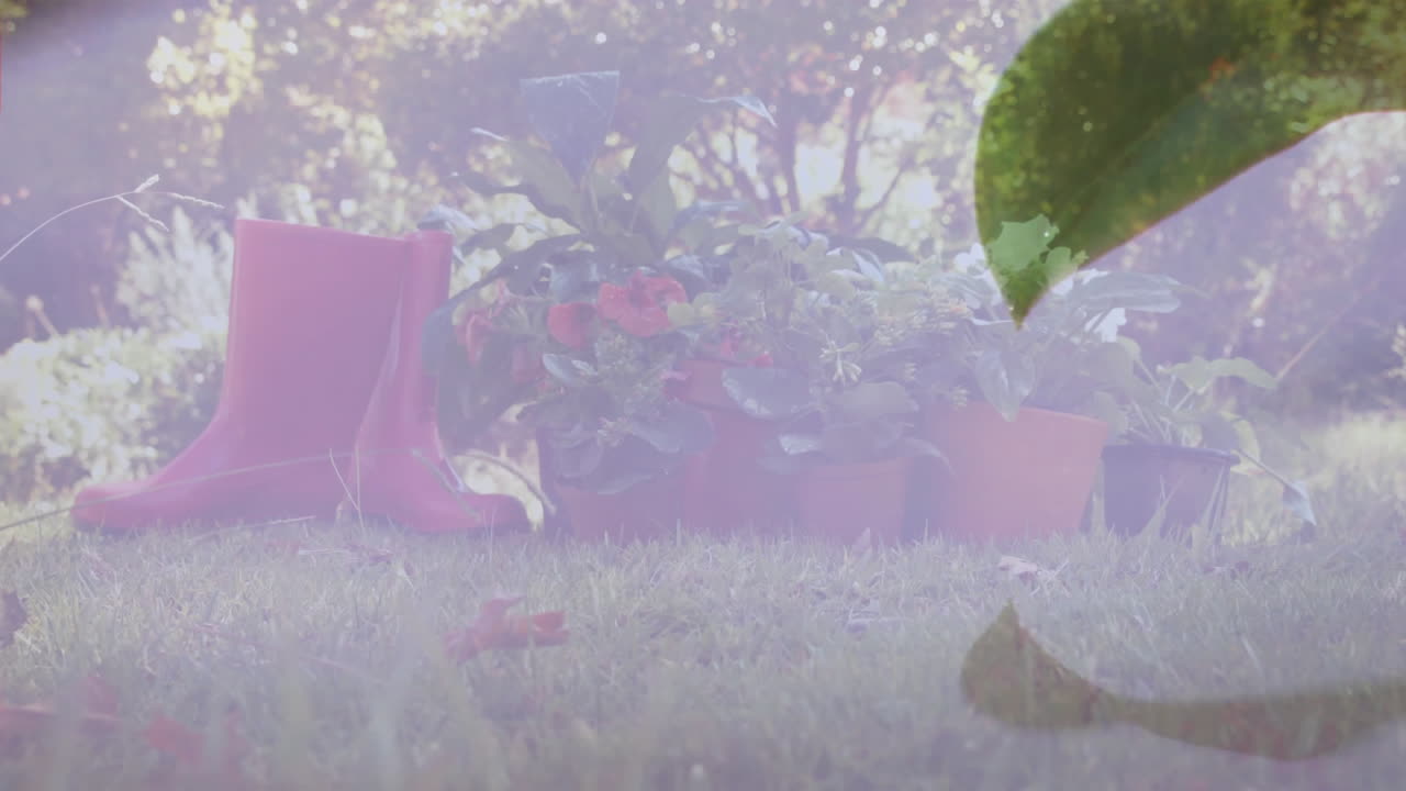 Potted plants and red boots on grass with leaf overlay animation