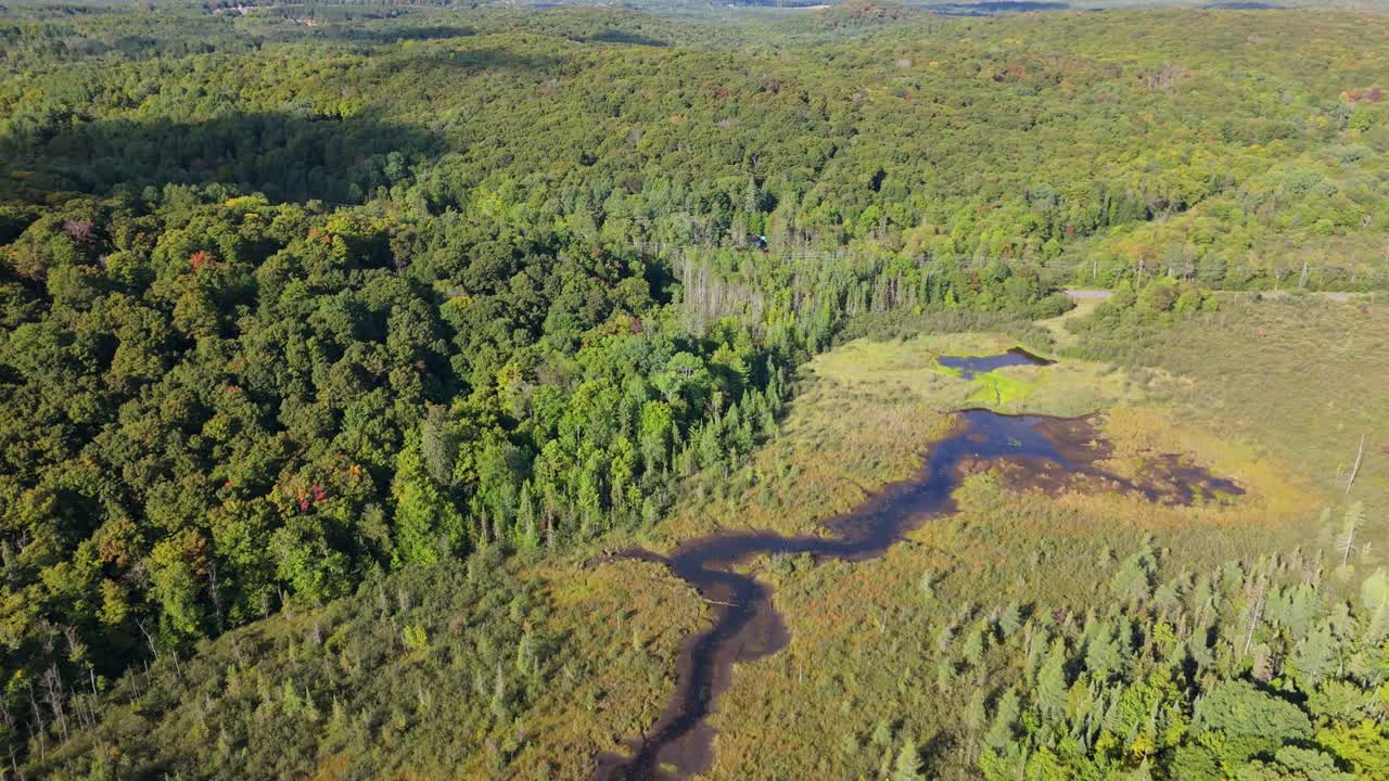 Drone flying above a bog and forest landscape in Muskoka, Ontario, Canada, showing wetland areas surrounded by dense woodland