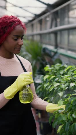woman spraying plants in greenhouse