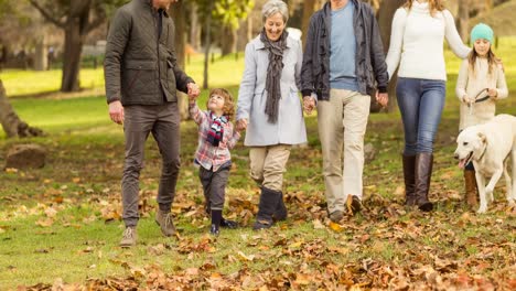 Happy-caucasian-multi-generation-family-holding-hands-walking-their-pet-dog-in-park