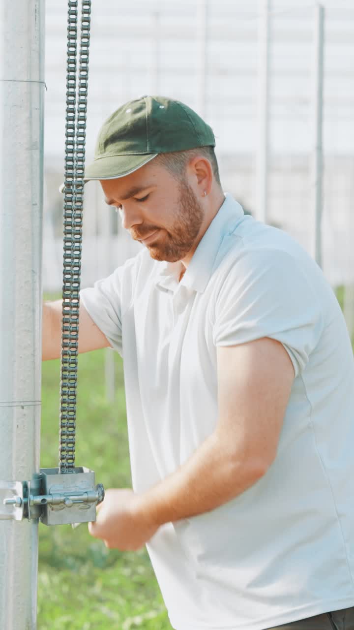 Farmer operating lever in watermelon greenhouse