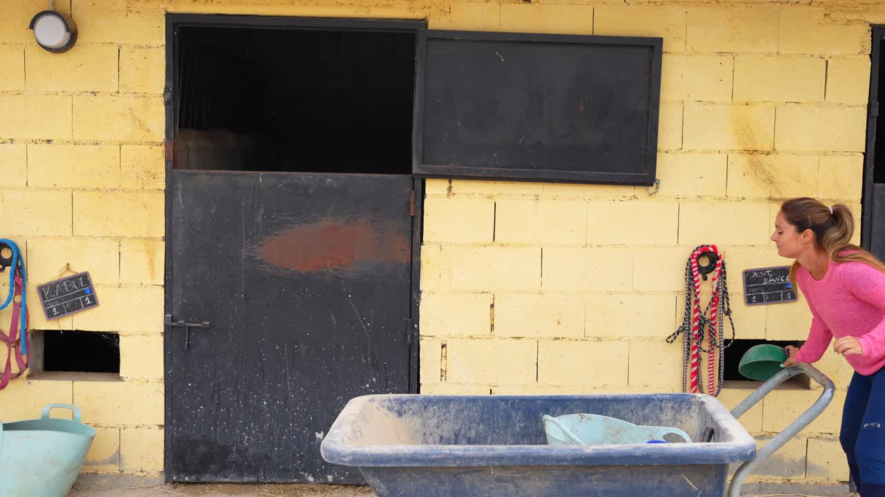 Horse handler carrying a wheelbarrow to feed the horses in the stable