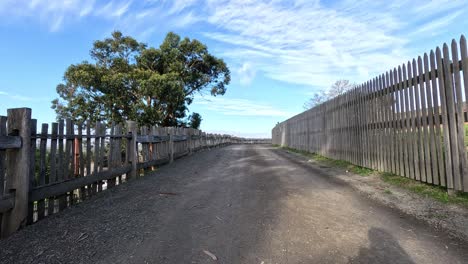 dirt road beside wooden fence and trees