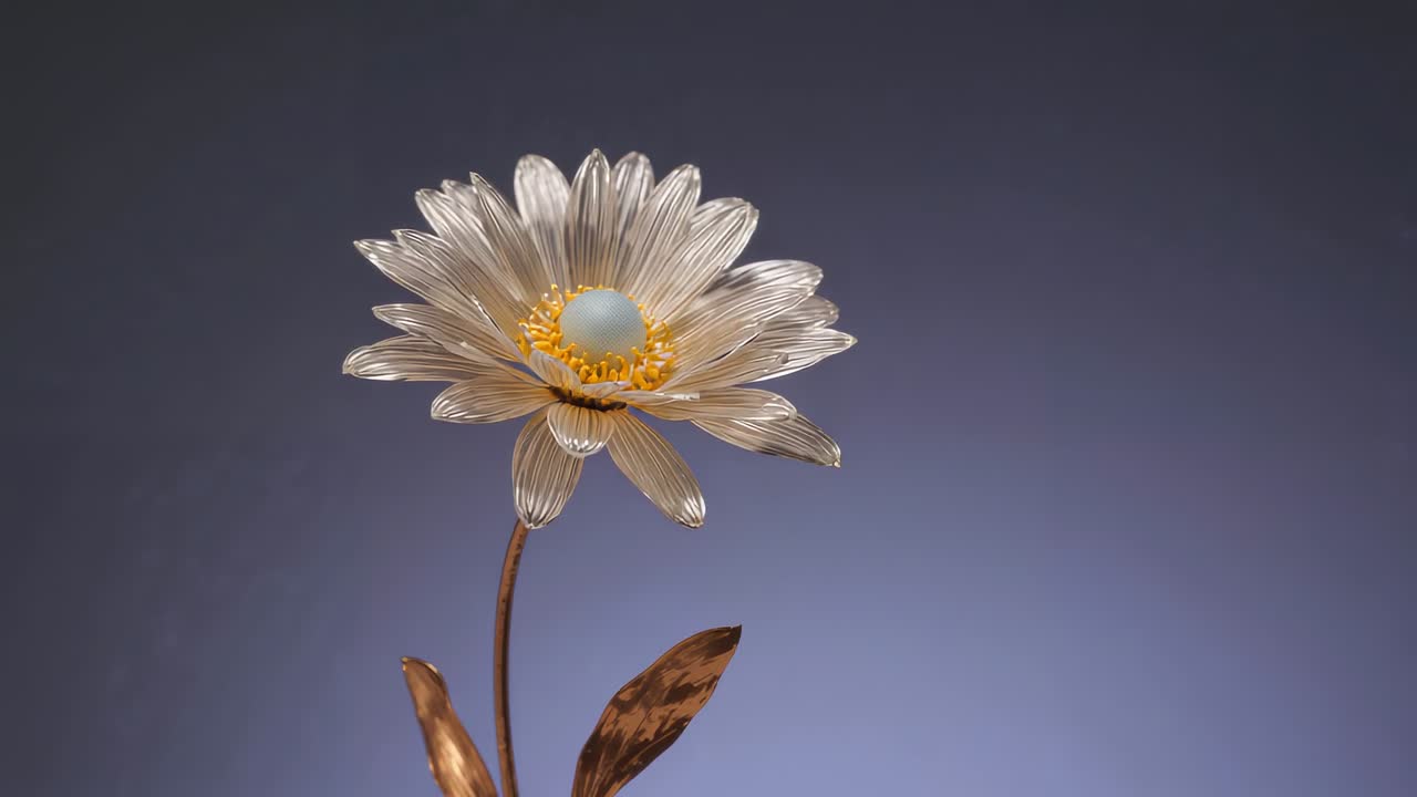 Skiftende kamera, der viser kunstnerisk blomstring, der sænkes for at afsløre ribbede kronblade, stilkdetaljer i studiet, svag perle