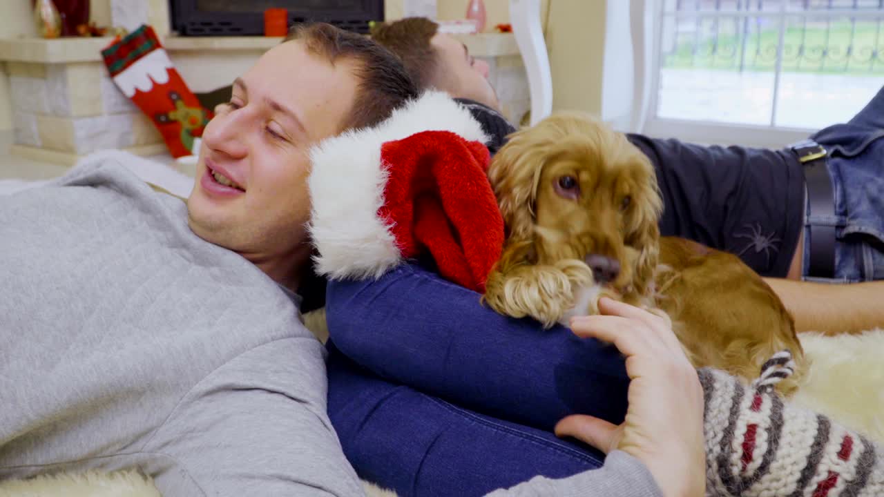 Un simpatico cane mastica il cappello di Babbo Natale.