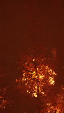 forest fire at night