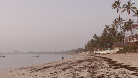 hermoso paisaje africano exótico con playa de arena y palmeras