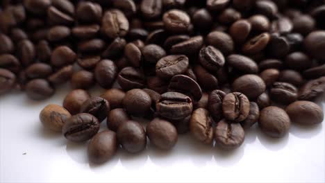 Close-up-of-seeds-of-coffee-08