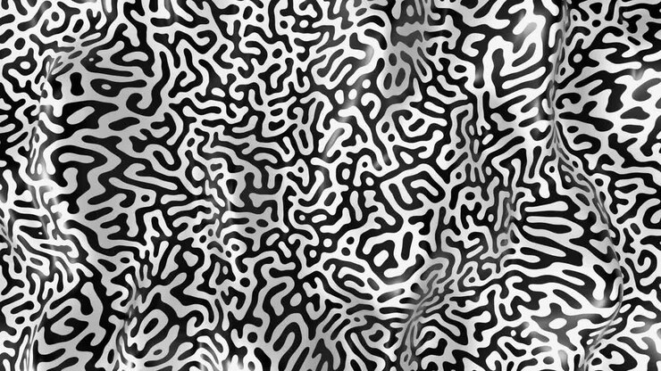 Black and white reaction-diffusion pattern 3D animation