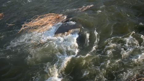 panoramic view of the river current. fixed camera