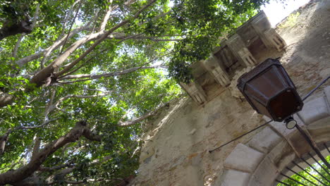 Looking-up-at-an-old-building-and-green-tree-tops