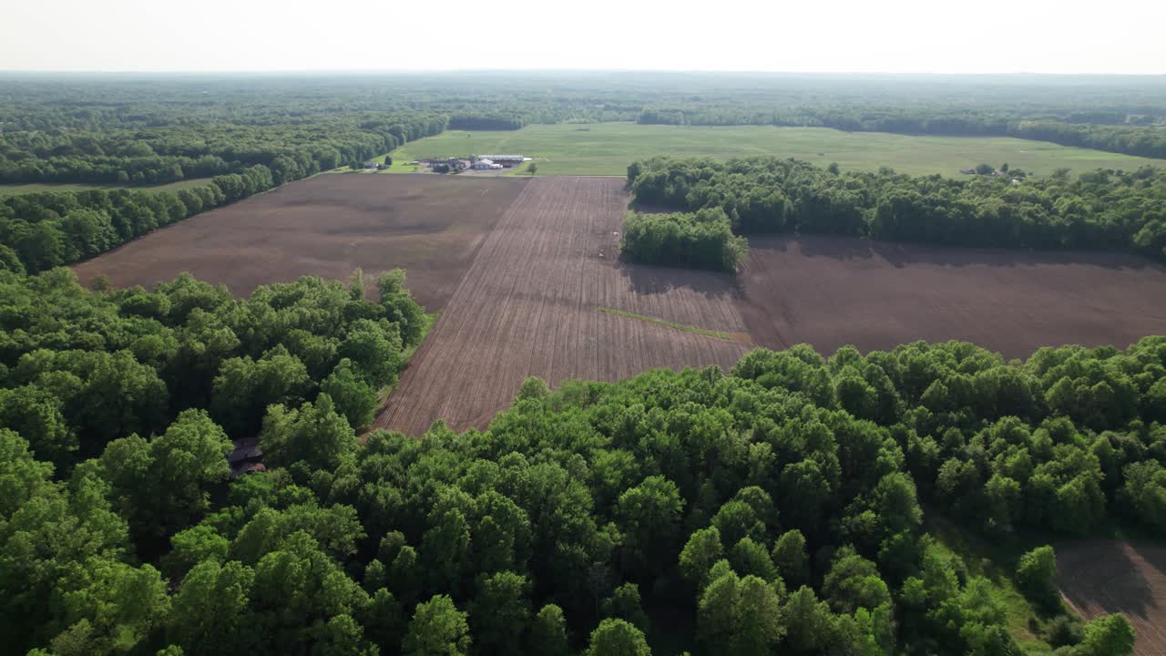 Drone view of field with tree