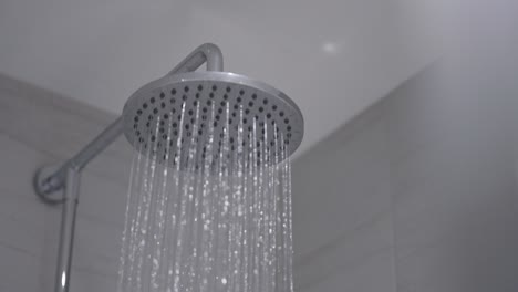 Shower-head-turns-on,-runs,-then-turns-off