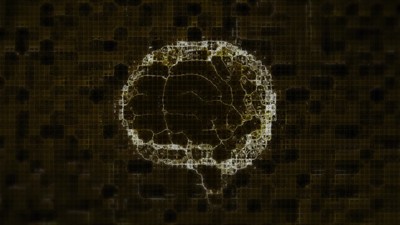 The image contains a human brain on an alpha (transparent) background