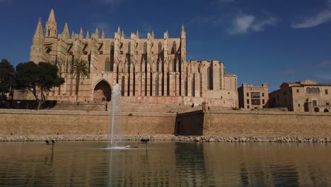 palma de mallorca ´s cathedral view