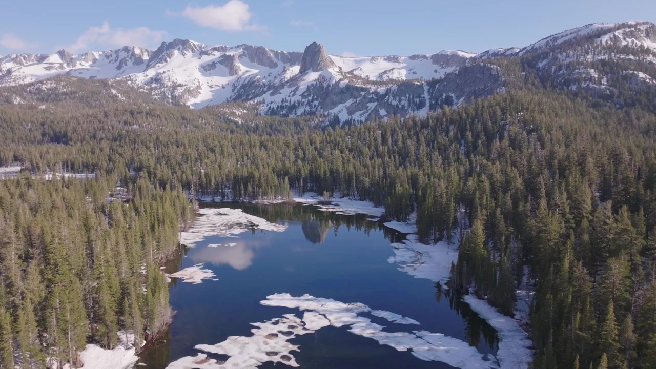 Luftfoto fra drone som følger den svingete, naturlige strømmen av bekker som skjærer gjennom tette eviggrønne skoger mot Twin Lakes i Mammoth Lakes, California, under en frisk alpeettermiddag