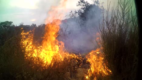 Ein-Buschfeuer-Brennt-Sehr-Nah-An-Einer-Fernerkundungskamera-Auf-Einem-Hügel-In-Südkalifornien-Während-Des-Höhlenfeuers-In-Santa-Barbara