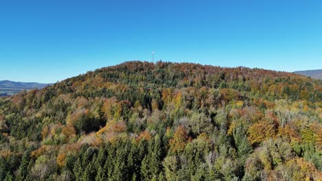 Aerial-view-over-the-multicolour-spruce-and-fir-forest-in-autumn-season-in-Switzerland