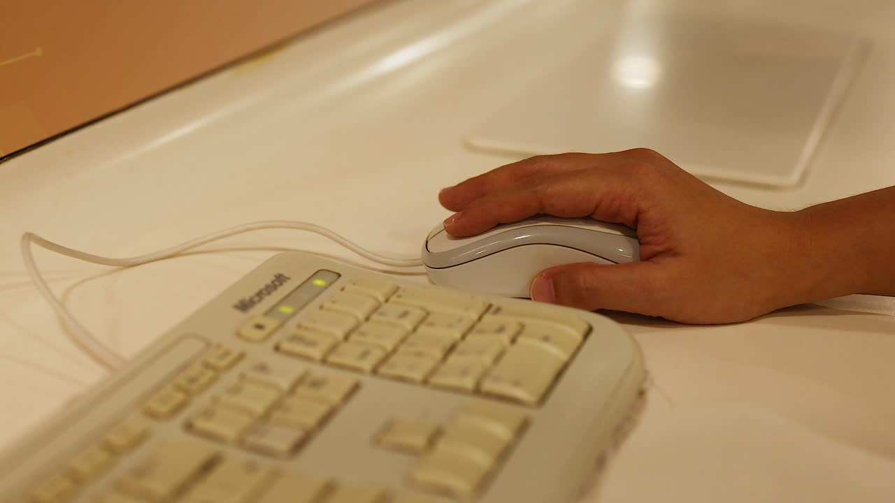 컴퓨터 마우스와 키보드를 사용하는 사람