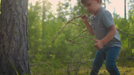 boy in the forest collects firewood. collecting dry firewoods in summer forest at camping. brushwood for camp fire in summer hike.