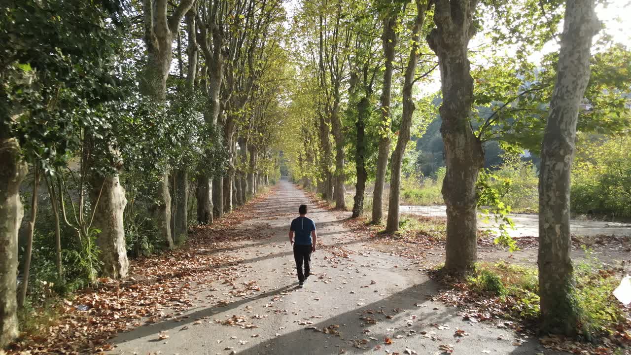 Passeggiata su strada panoramica autunnale, vista aerea da drone