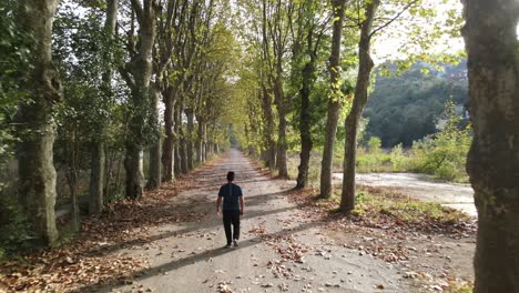 Walking-Scenic-Road-Autumn-Aerial-Drone-View