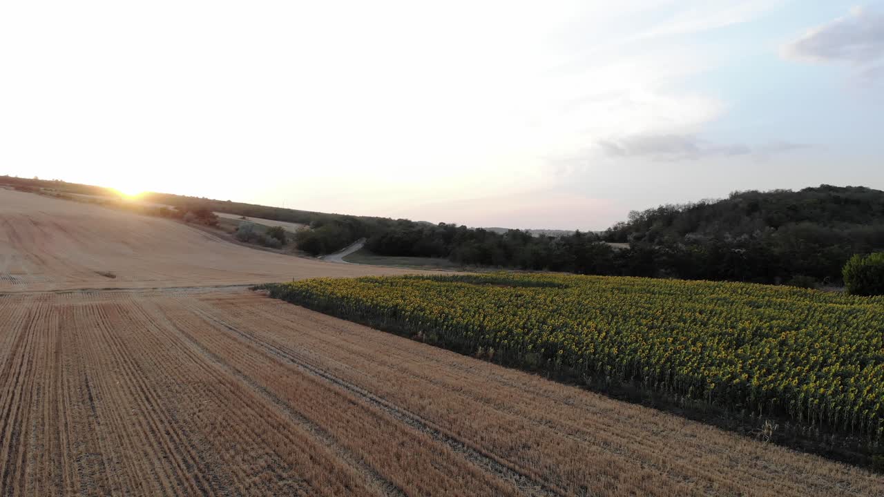 granja de campo de girasol y llanuras durante la puesta de sol en la zona rural