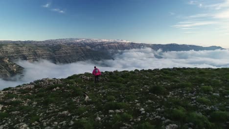 male hiker and dog walk across peak of mountain range