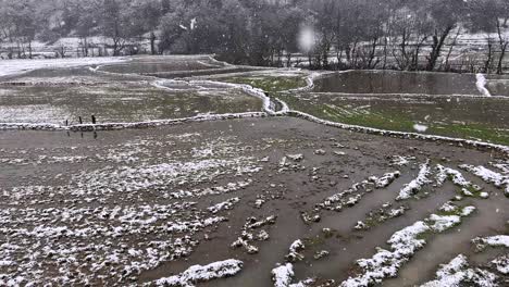 rice field landscape in winter snow iran hyrcanian forest mountain rural agriculture paddy frost cold season asian culture traditional farming nature white texture travel view village outdoor world