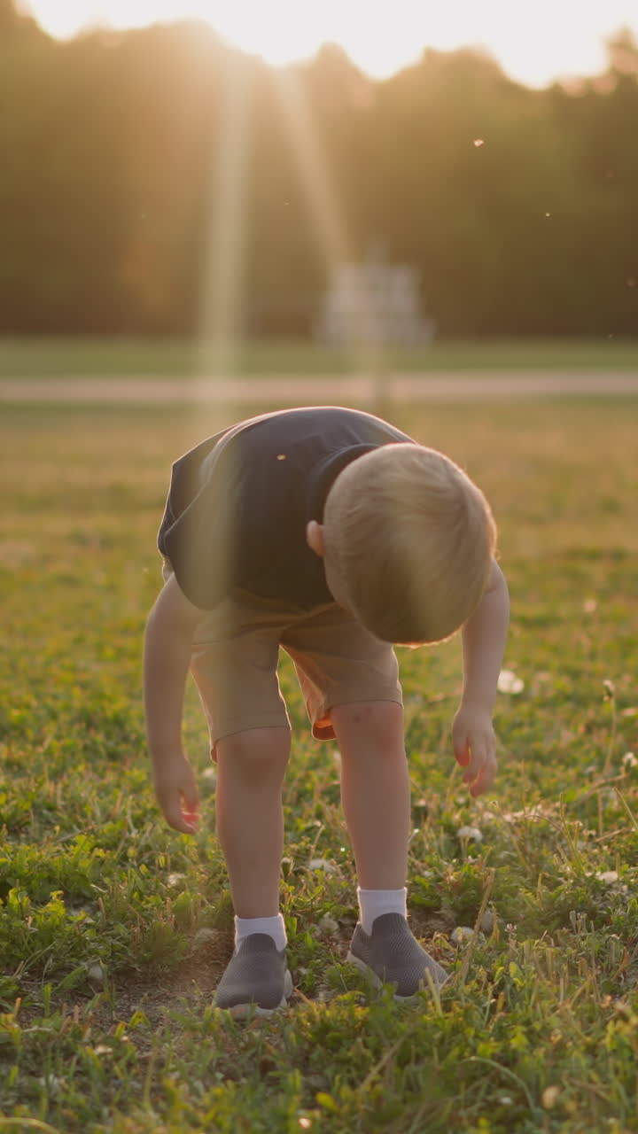 Toddler boy waves off biting insects from legs standing on lawn at sunset dusk slow motion. Summer season problems. Repellents protection