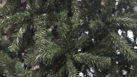 weihnachtshintergrund, weihnachtsbaum ohne ornamente