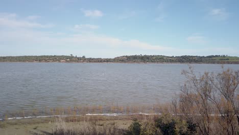 medina lake natural reserve in jerez, spain, pan right