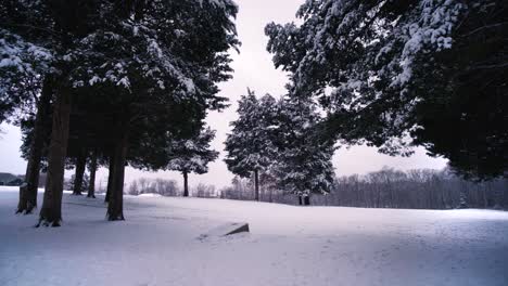 Schneefall-Im-Parkwald-Manassas-Im-Winter