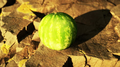 watermelon fruit berry on rocky stones