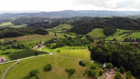 A-mesmerizing-drone-flight-over-the-lush-green-hills-of-Haloze,-Slovenia,-capturing-scenic-beauty-from-above