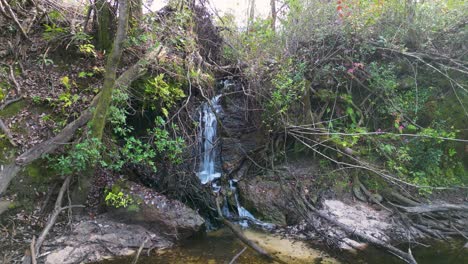 Wasserfall,-Der-In-Den-Econfina-Creek-In-Florida-Panhandle-Fließt