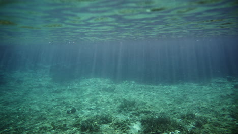 underwater sunlight scene