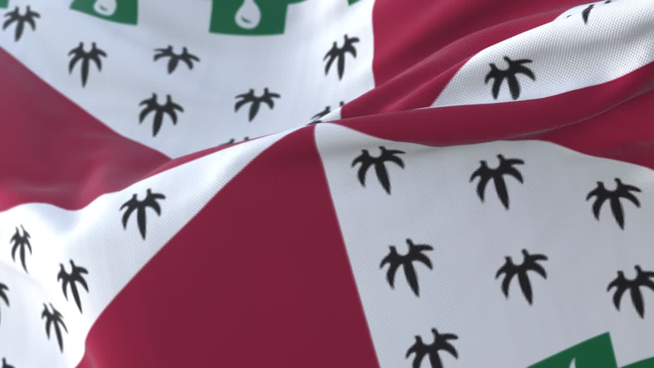 bandera del condado de loudoun, estado de virginia, estados unidos de américa - bucle