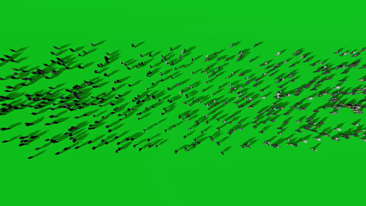 다채롭고 다문화적 인 사업가들이 일하러 출퇴근합니다. upper view 4k, chroma key